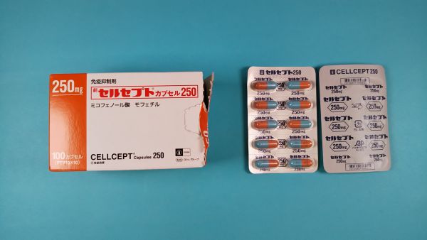 セルセプトカプセル250｜メディカルお薬.com【中央メディカルシステム株式会社】