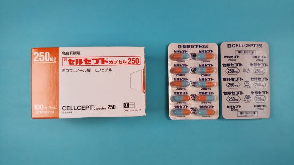 セルセプトカプセル250｜メディカルお薬.com【中央メディカルシステム株式会社】