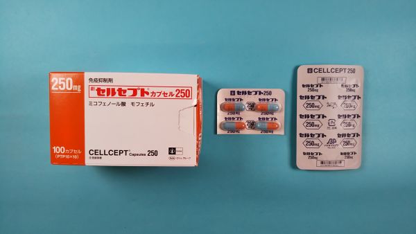 セルセプトカプセル250｜メディカルお薬.com【中央メディカルシステム株式会社】