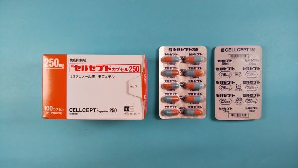 セルセプトカプセル250｜メディカルお薬.com【中央メディカルシステム株式会社】